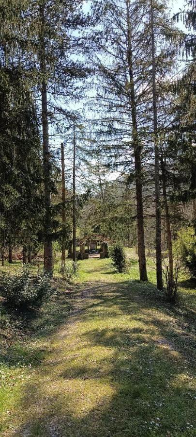شقة Casale La Pineta Mombaroccio المظهر الخارجي الصورة