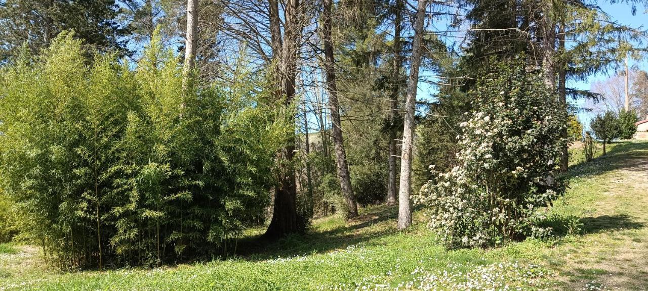 شقة Casale La Pineta Mombaroccio المظهر الخارجي الصورة