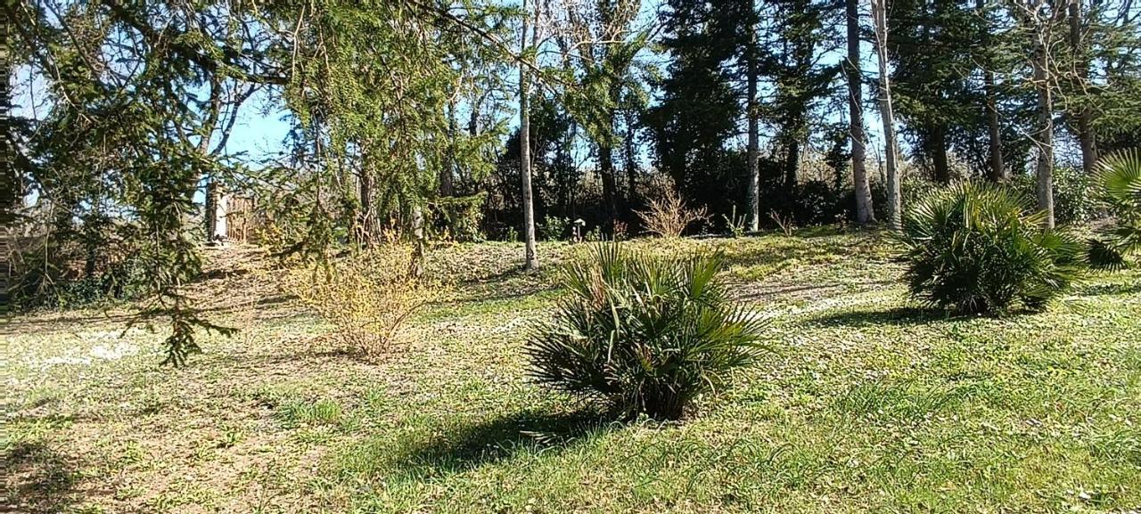شقة Casale La Pineta Mombaroccio المظهر الخارجي الصورة