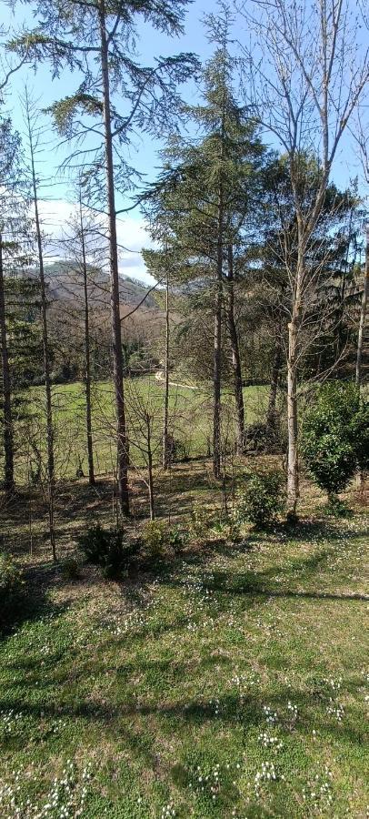 شقة Casale La Pineta Mombaroccio المظهر الخارجي الصورة